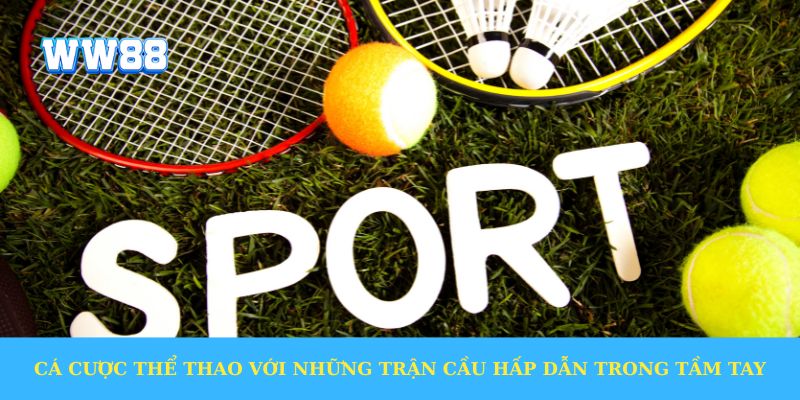 cá cược thể thao với những trận cầu hấp dẫn trong tầm tay